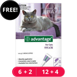 Advantage Cats Over 10lbs (Purple) 4 Doses