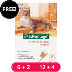 Advantage Kittens & Small Cats 1-10lbs 4 Doses