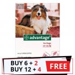 Advantage Large Dogs 21-55lbs (Red) 12 Doses + 4 Free