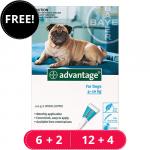 Advantage Medium Dogs 11-20lbs (Aqua) 12 Doses + 4 Free