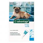 Advantage Medium Dogs 11-20lbs (Aqua) 12 Doses