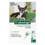 Advantage Small Dogs/ Pups 1-10lbs (Green) 12 Doses