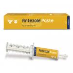 Antezole Deworming Paste For Dogs & Cats 15 Ml