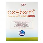 Cestem Flavor Tablets For Large Dogs 1 Tablets