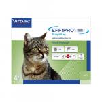 Effipro Duo Spot-On For Cats (Green) 8 Pack