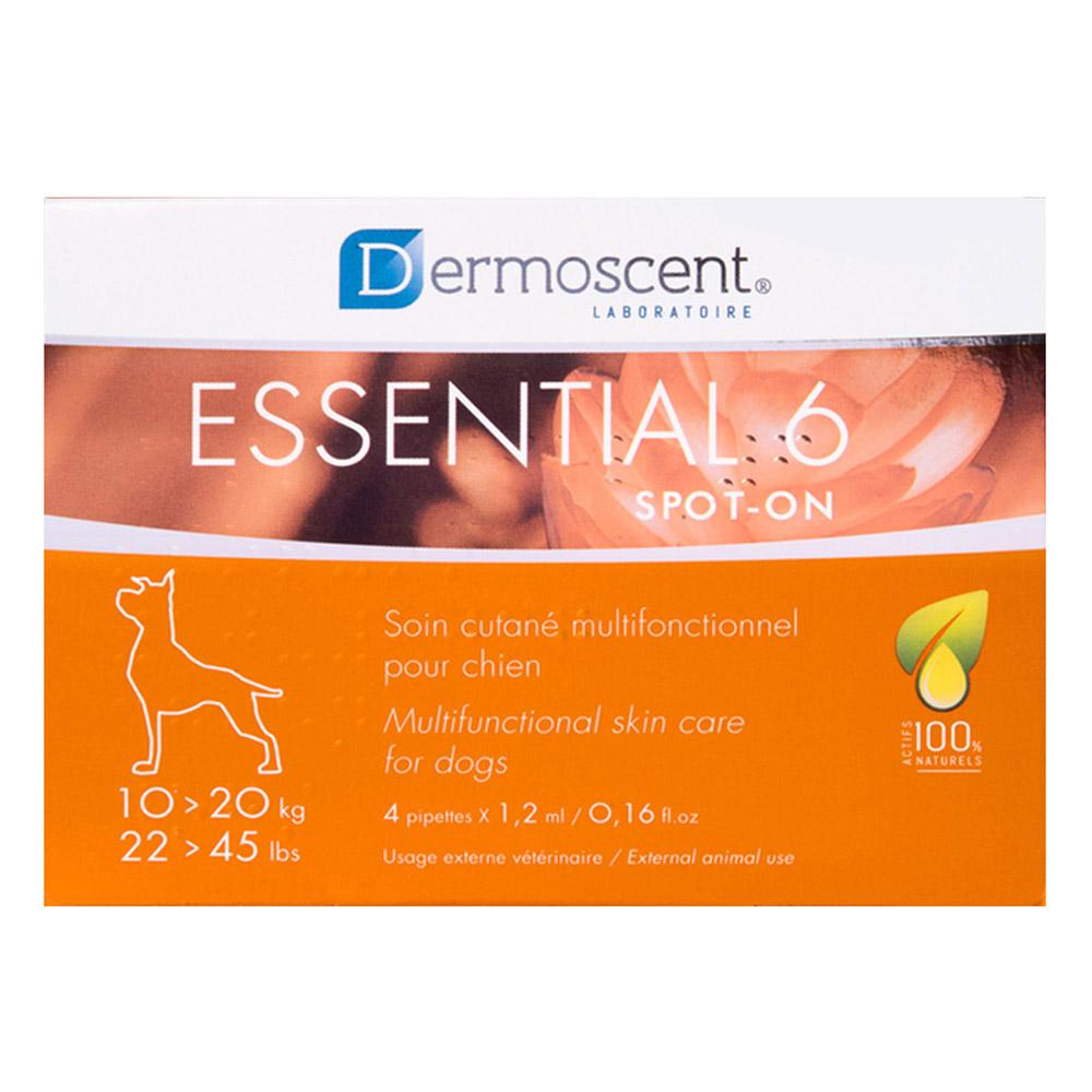 Essential 6 22-45 Lbs (Medium) 4 Pipette