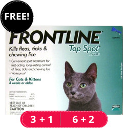 Frontline Top Spot Cats (Green) 3 Pipette + 1 Free