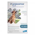 Interceptor Plus Chew For Dogs 50.1- 100lbs (Blue) 3 Chews