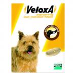 Veloxa Chewable Tablets For Small/Medium Dogs Up To 10 Kg 2 Pack