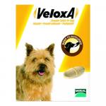 Veloxa Chewable Tablets For Small/Medium Dogs Up To 22lbs 4 Tablet