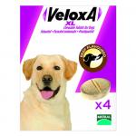 Veloxa Xl Chewable Tablets For Large Dogs Up To 77lbs 2 Tablet